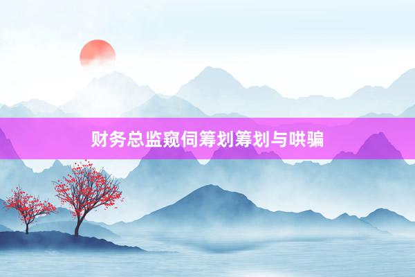 财务总监窥伺筹划筹划与哄骗